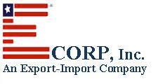 E-Corp, Inc