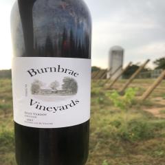 Burnbrae Vineyards LLC